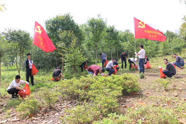 9001诚信金沙(中国)有限公司