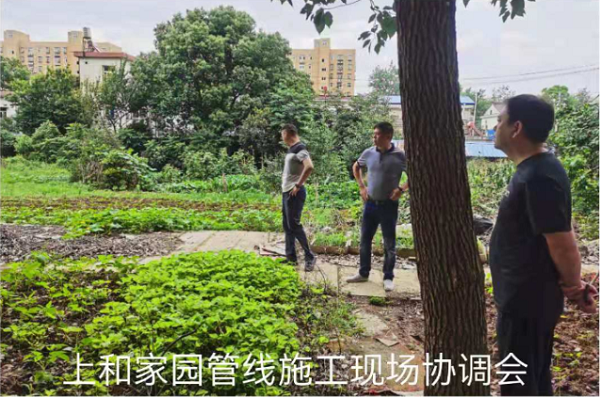 9001诚信金沙(中国)有限公司