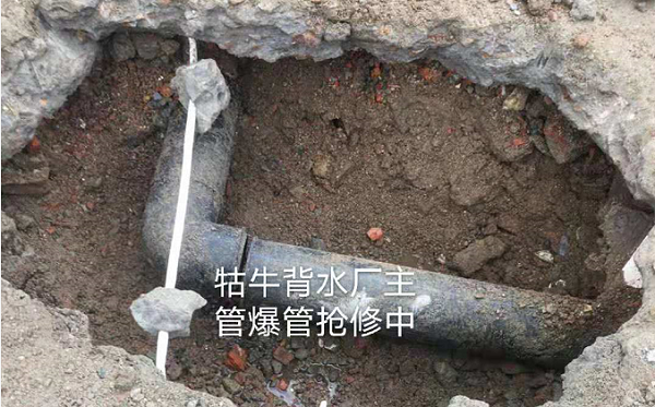 9001诚信金沙(中国)有限公司