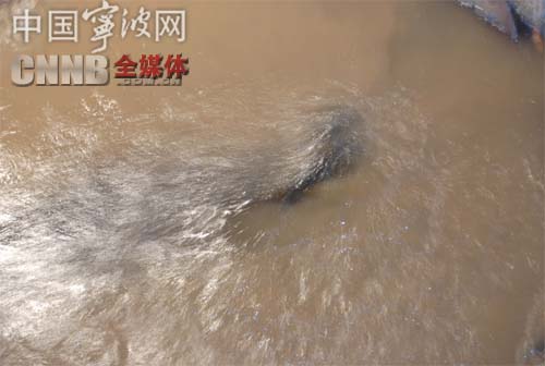 9001诚信金沙(中国)有限公司